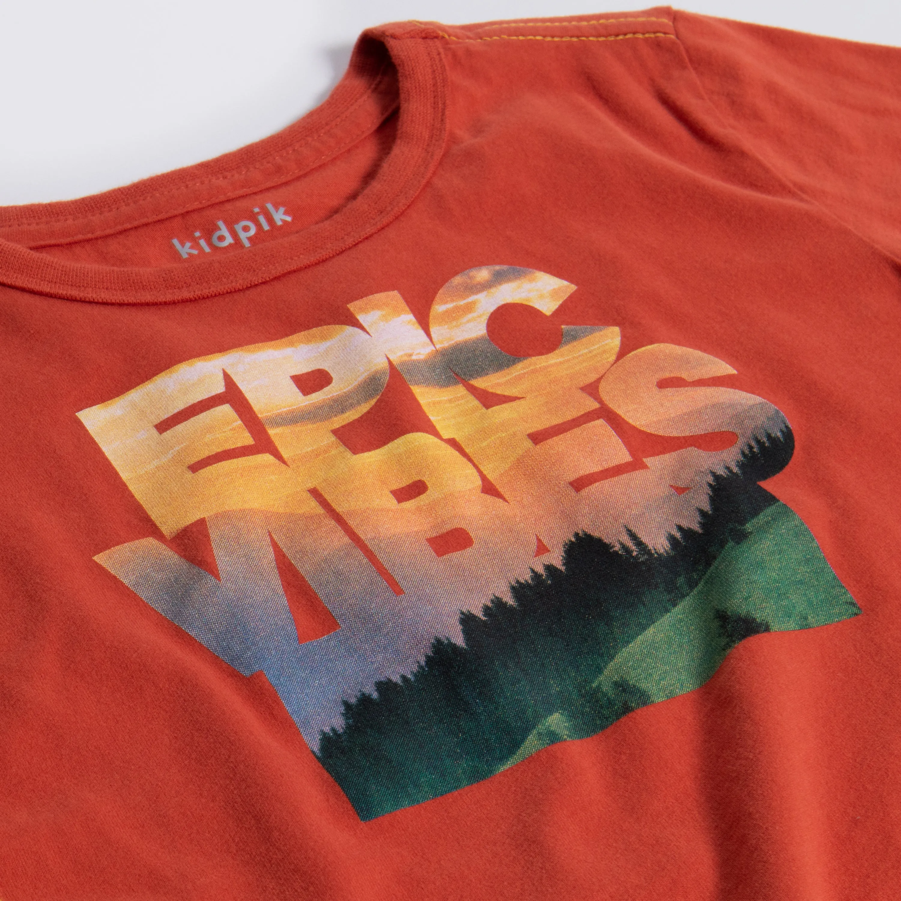 Epic Vibes Contrast Stitch Tee