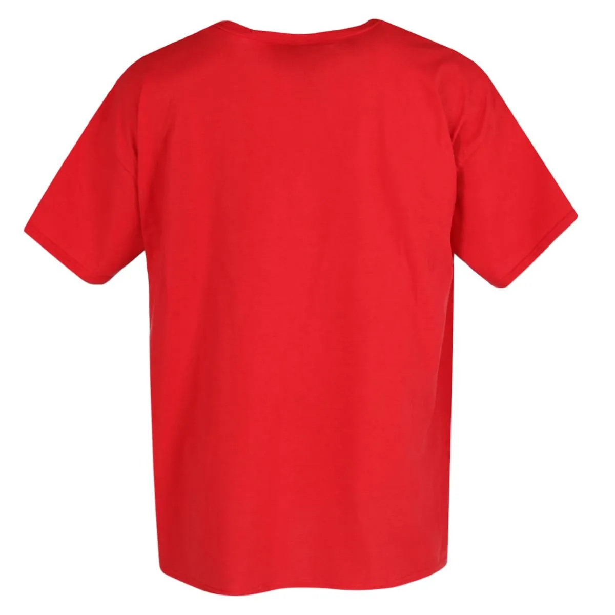 Fruit of the Loom Big and Tall V Neck Cotton T Shirt