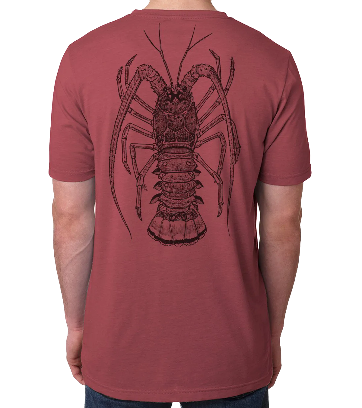Lobster by Jessica Shipley