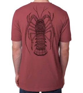 Lobster by Jessica Shipley