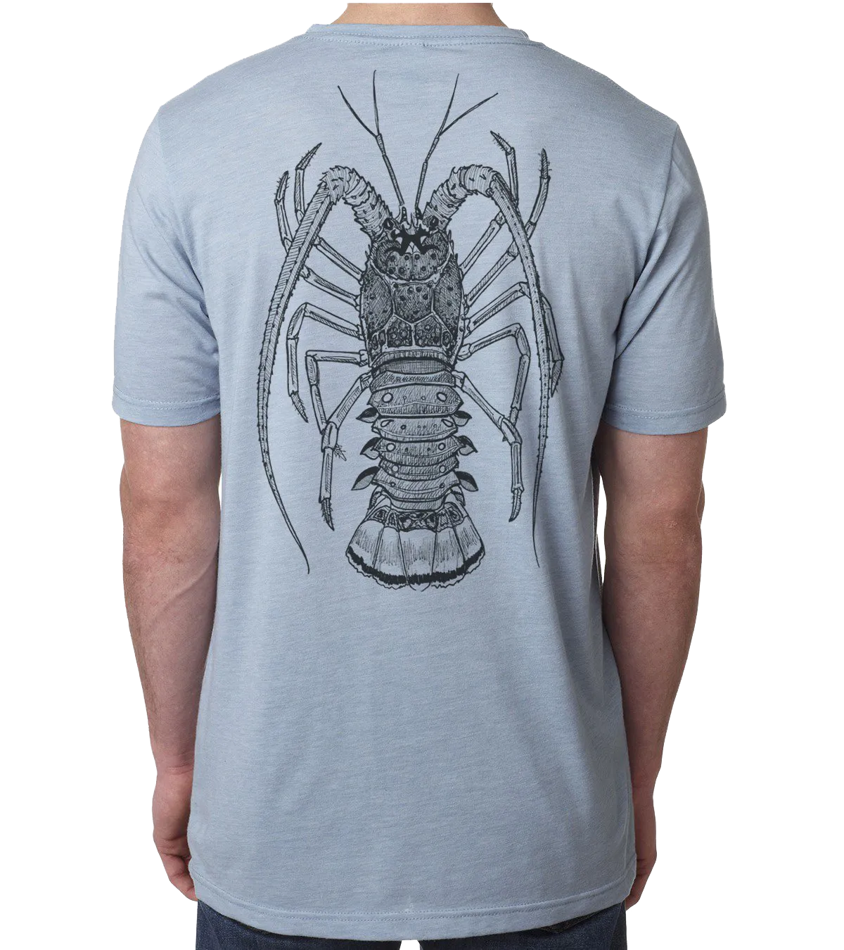 Lobster by Jessica Shipley