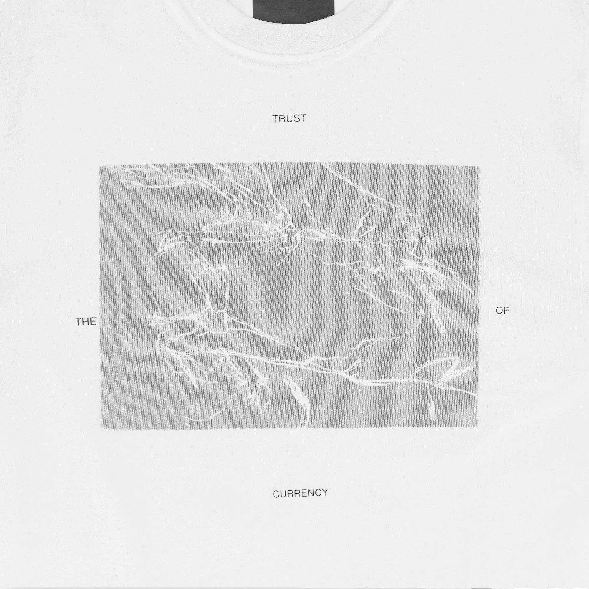 PELLUCID T-SHIRT